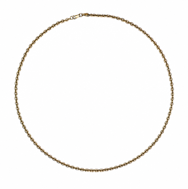 Closeup photo of 14K YG Anchor Link 3.83mm Chain 21.2g, 24"