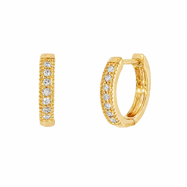 Closeup photo of Diamond Hoop Earrings