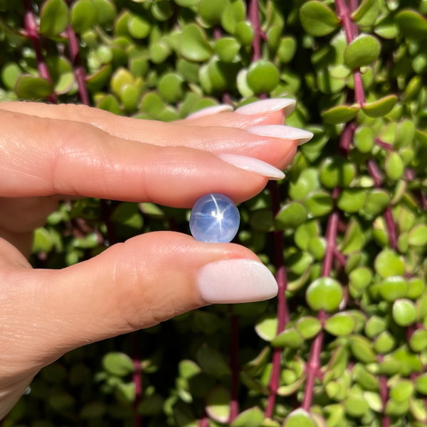 Closeup photo of 13.23ct Loose Star Sapphire 12.28 x 11.18 x 9.01mm