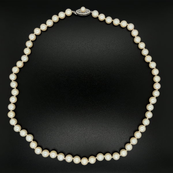 Closeup photo of 14K WG 6.5-6.0mm Round Pearl Necklace with Pearl Clasp 19.8g, 16"