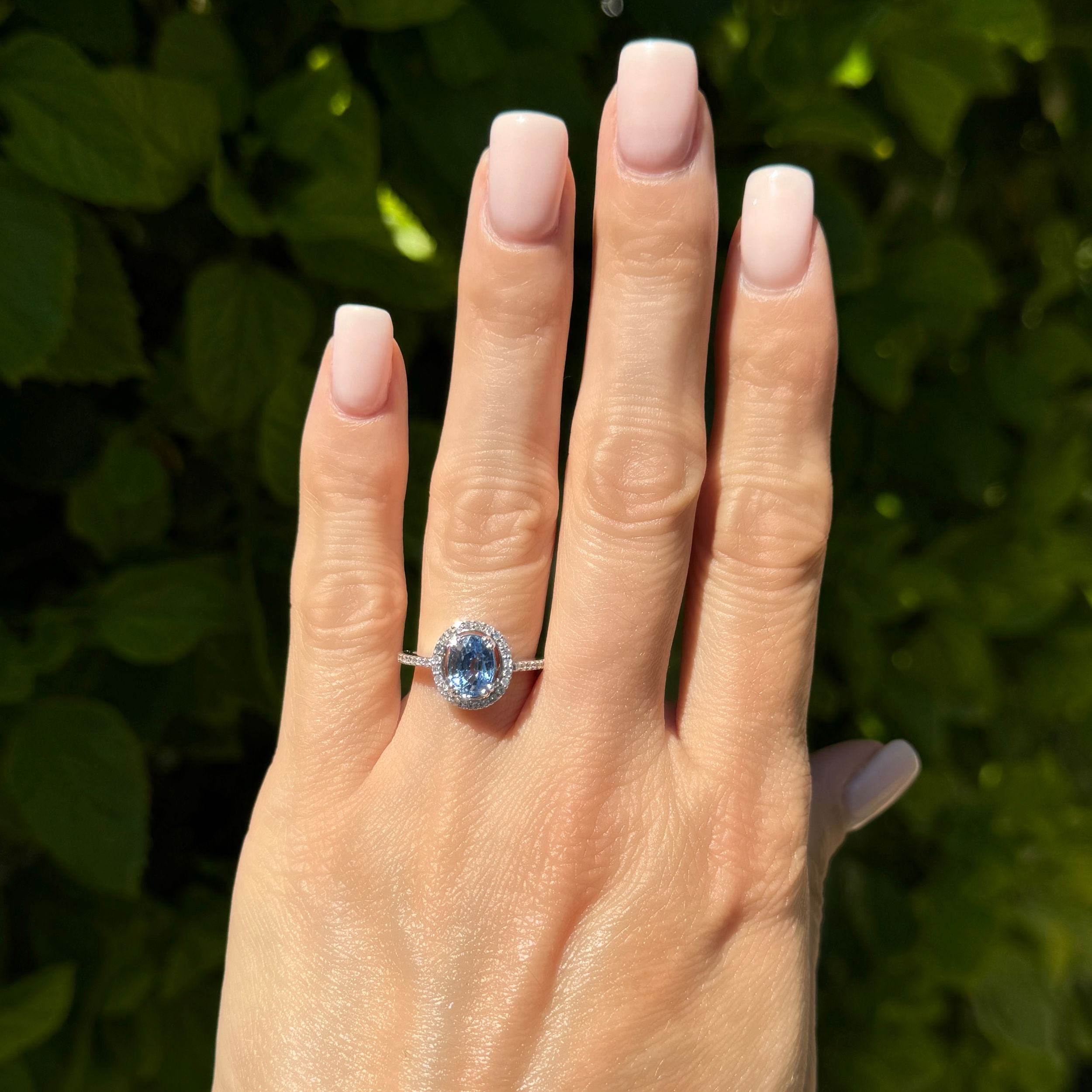 14K WG 1.97ct Oval Unheated Sapphire & .24tcw Diamond Halo Ring 3.2g, s6.5 14K WG 1.97ct Oval Unheated Sapphire & .24tcw Diamond Halo Ring 3.2g, s6.5