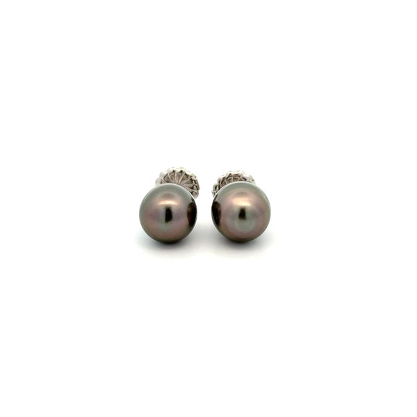 Closeup photo of 14K WG 9mm Elongated Tahitian Pearl Stud Earrings 3.0g