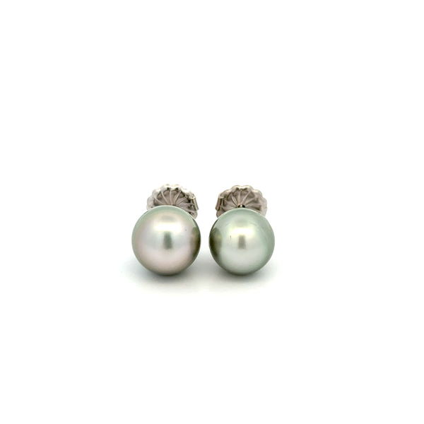 Closeup photo of 14K WG 9mm Tahitian Pearl Stud Earrings 2.6g