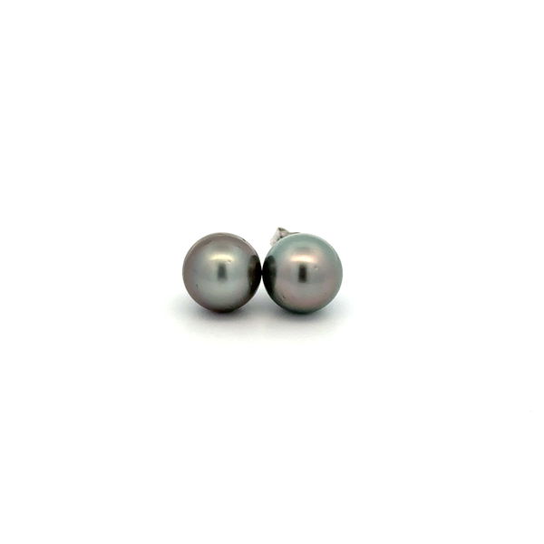 Closeup photo of 14K WG 8.10mm Tahitian Pearl Stud Earrings 1.8g