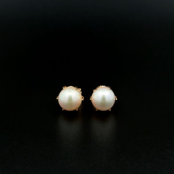 Closeup photo of 14K YG 7mm Pearl Stud Earrings 6 Prong 1.7g