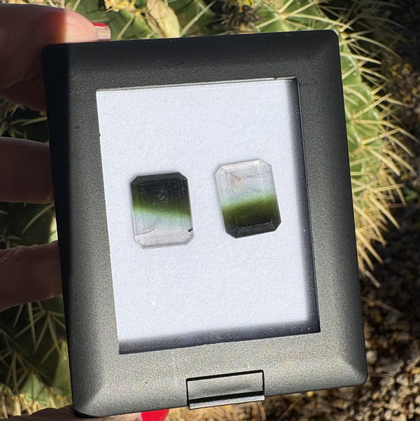 Closeup photo of 11.56tcw Portrait Cut Bi Color Watermelon Tourmaline 15x12x3mm