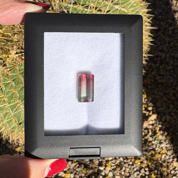 Closeup photo of 5.50ct Emerald Cut Bicolor Watermelon Tourmaline 14.42x8.28x4.68mm