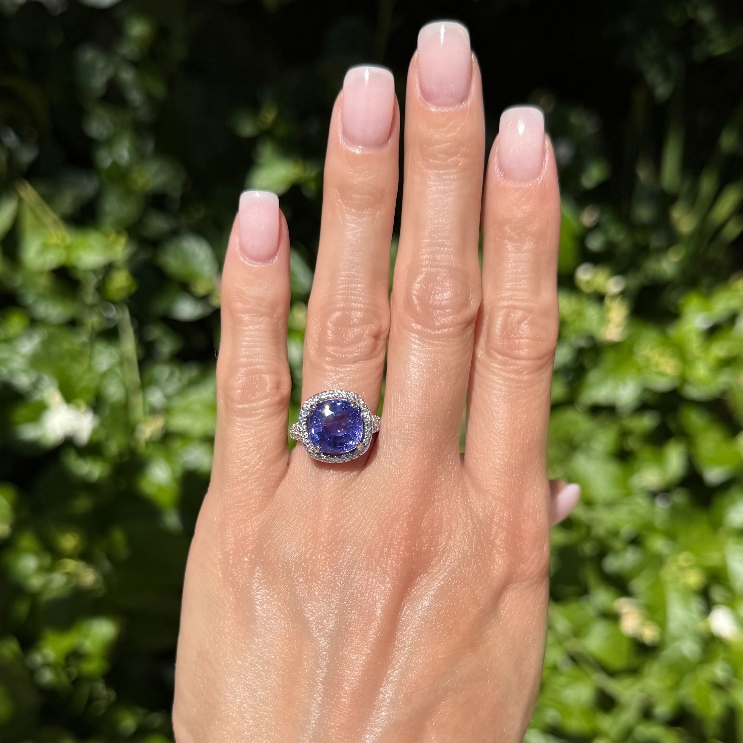 GIA# 2205122944 14K WG 8.45ct Cushion Purple NO HEAT Ceylon Sapphire GIA & .35tcw Diamond Ring 6.8g, s6