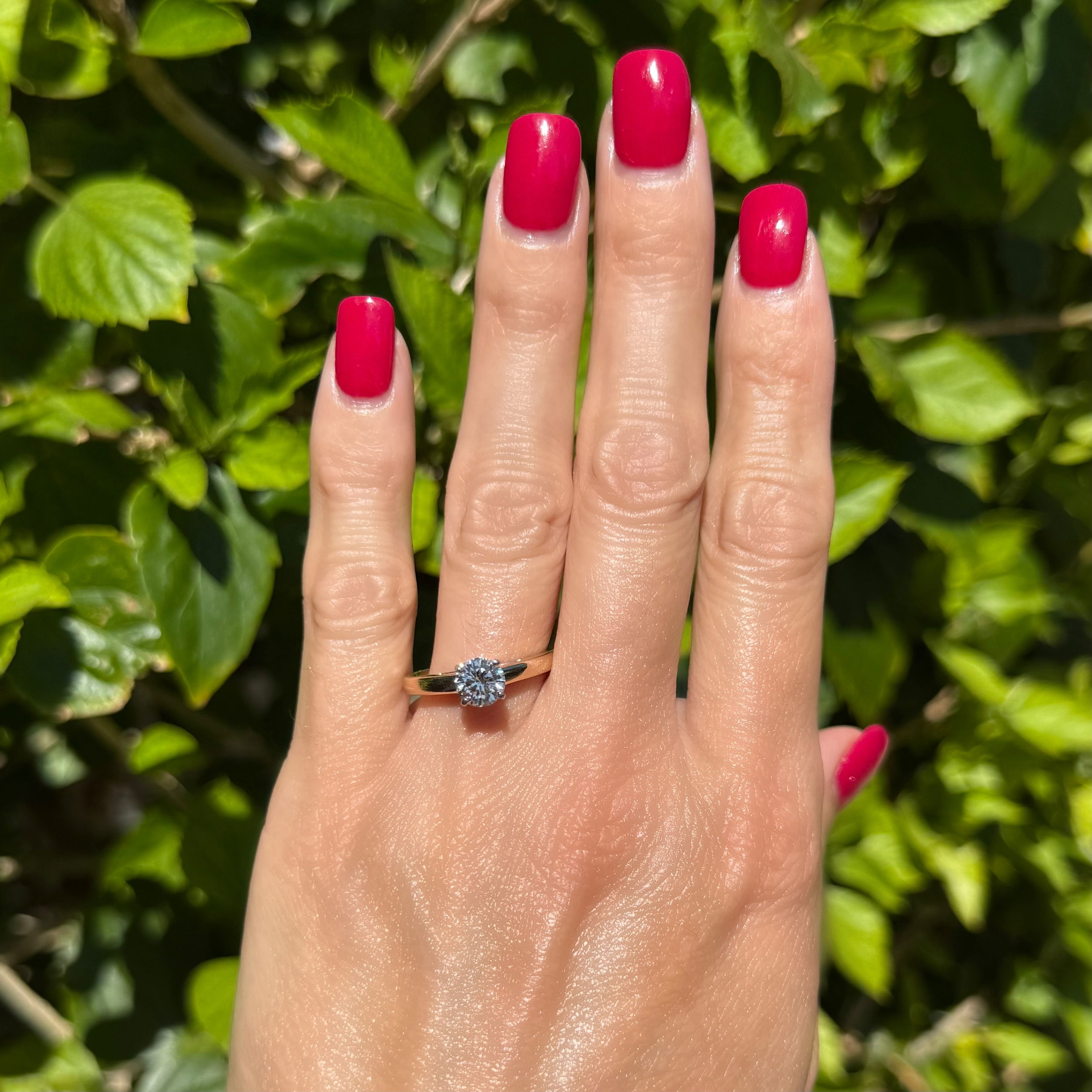 Platinum & 14K .98ct Leo Cut Diamond LEO755289 IGI Solitaire Ring 4.2g, s8.5 Platinum & 14K .98ct Leo Cut Diamond LEO755289 IGI Solitaire Ring 4.2g, s8.5