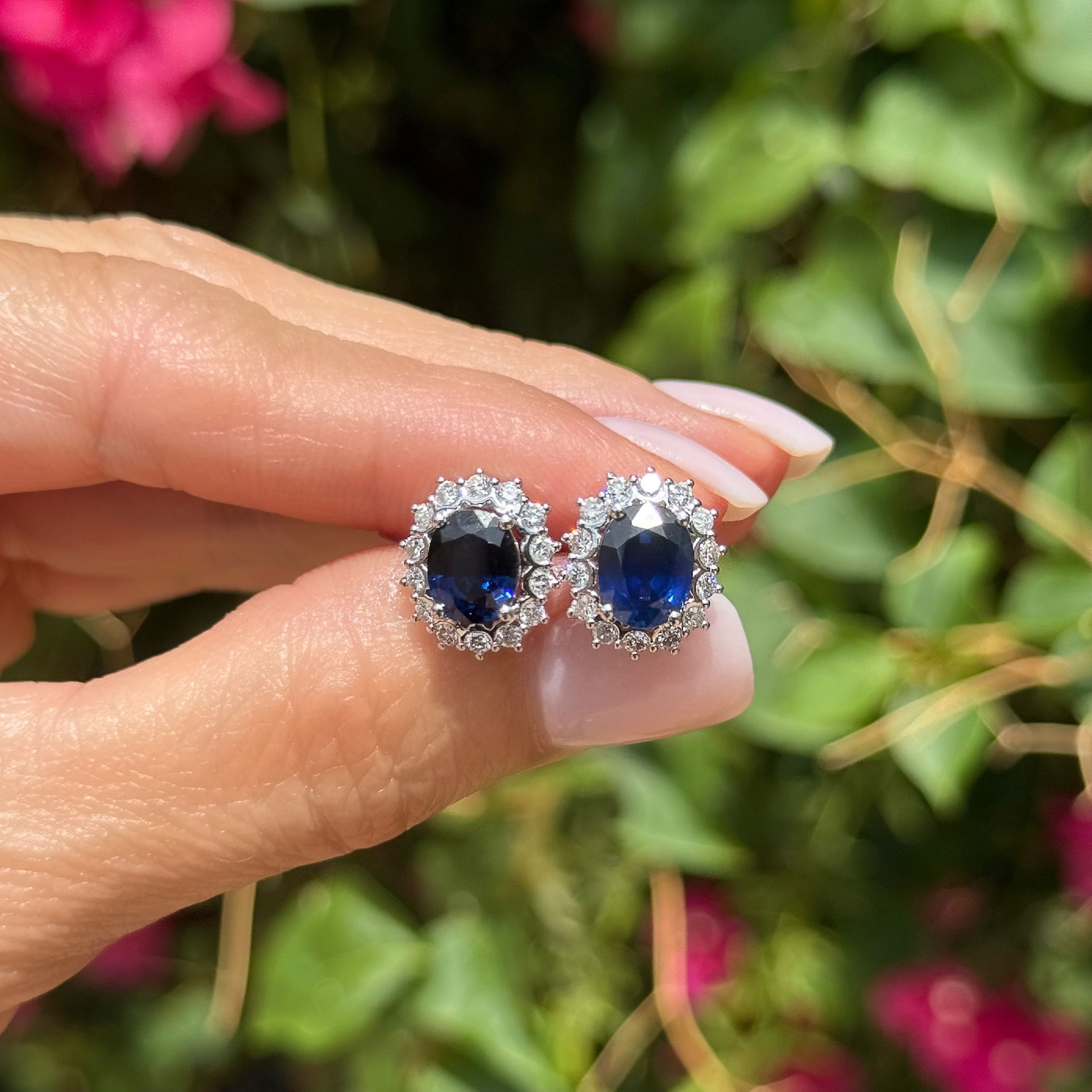 Platinum 4.70tcw Oval Sapphire & .77tcw RBC Diamond Halo Earrings 7.5g Platinum 4.70tcw Oval Sapphire & .77tcw RBC Diamond Halo Earrings 7.5g