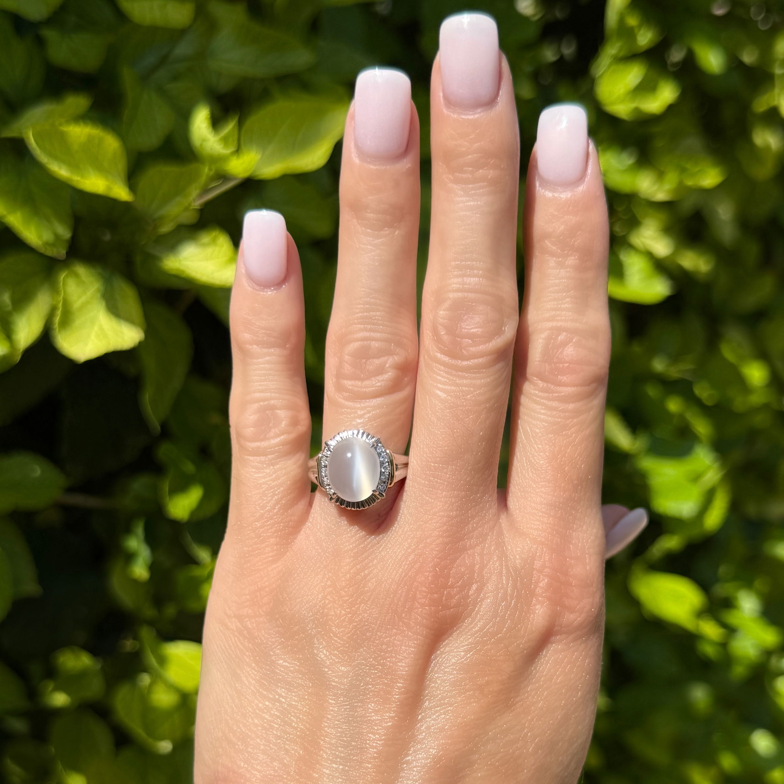 Platinum & 18K 4.00ct Moonstone & .10tcw RBC Diamond Ring 10.9g, s6.5