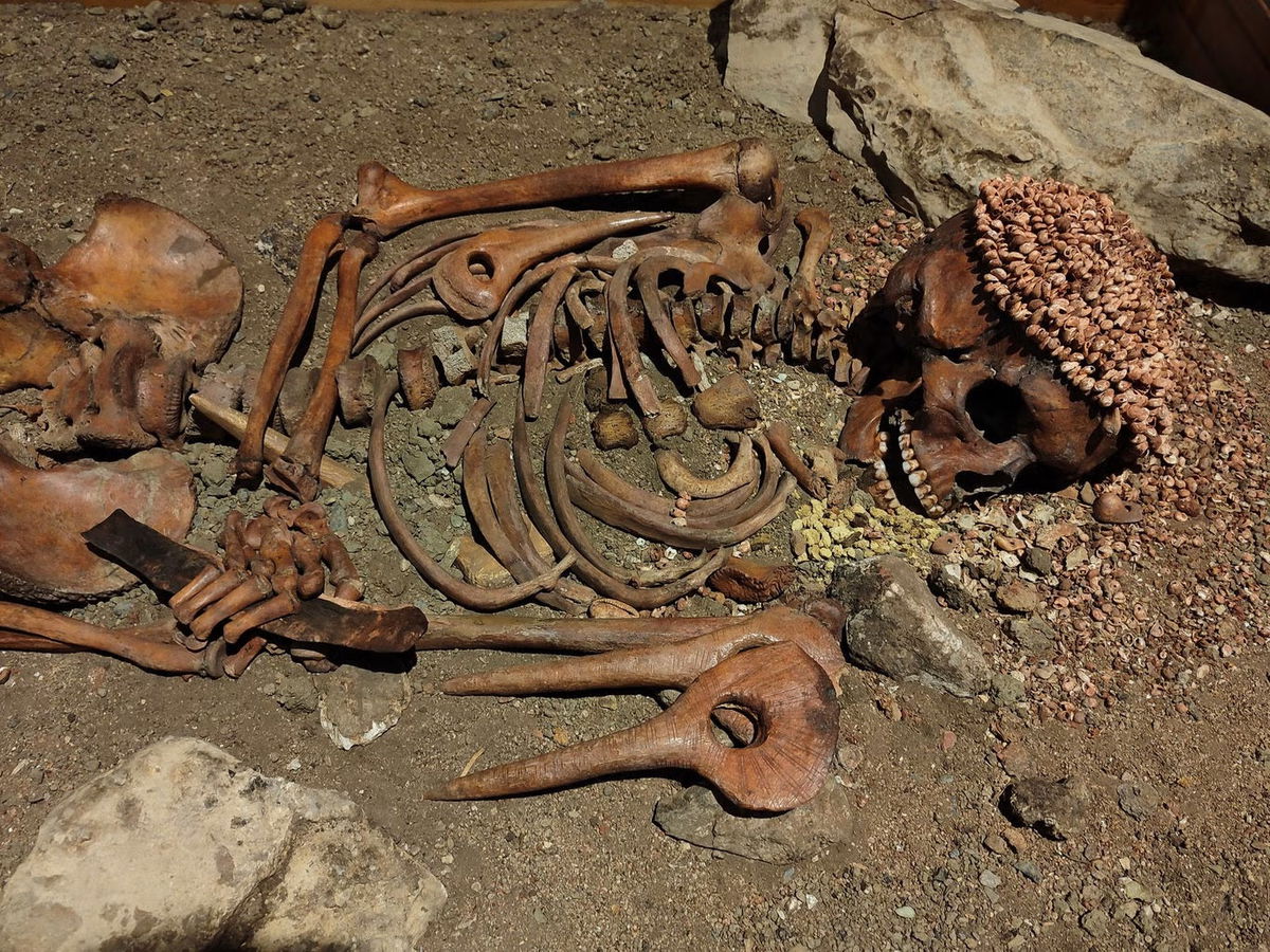 Magdalenian burial showing prehistoric personal adornments including marine shell jewelry and perforated animal teeth