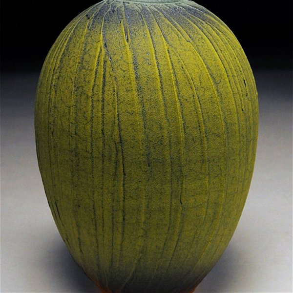 Closeup photo of Earthenware Carved Green 10x7