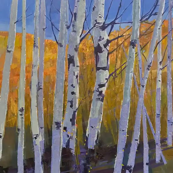 Closeup photo of Aspen Stand