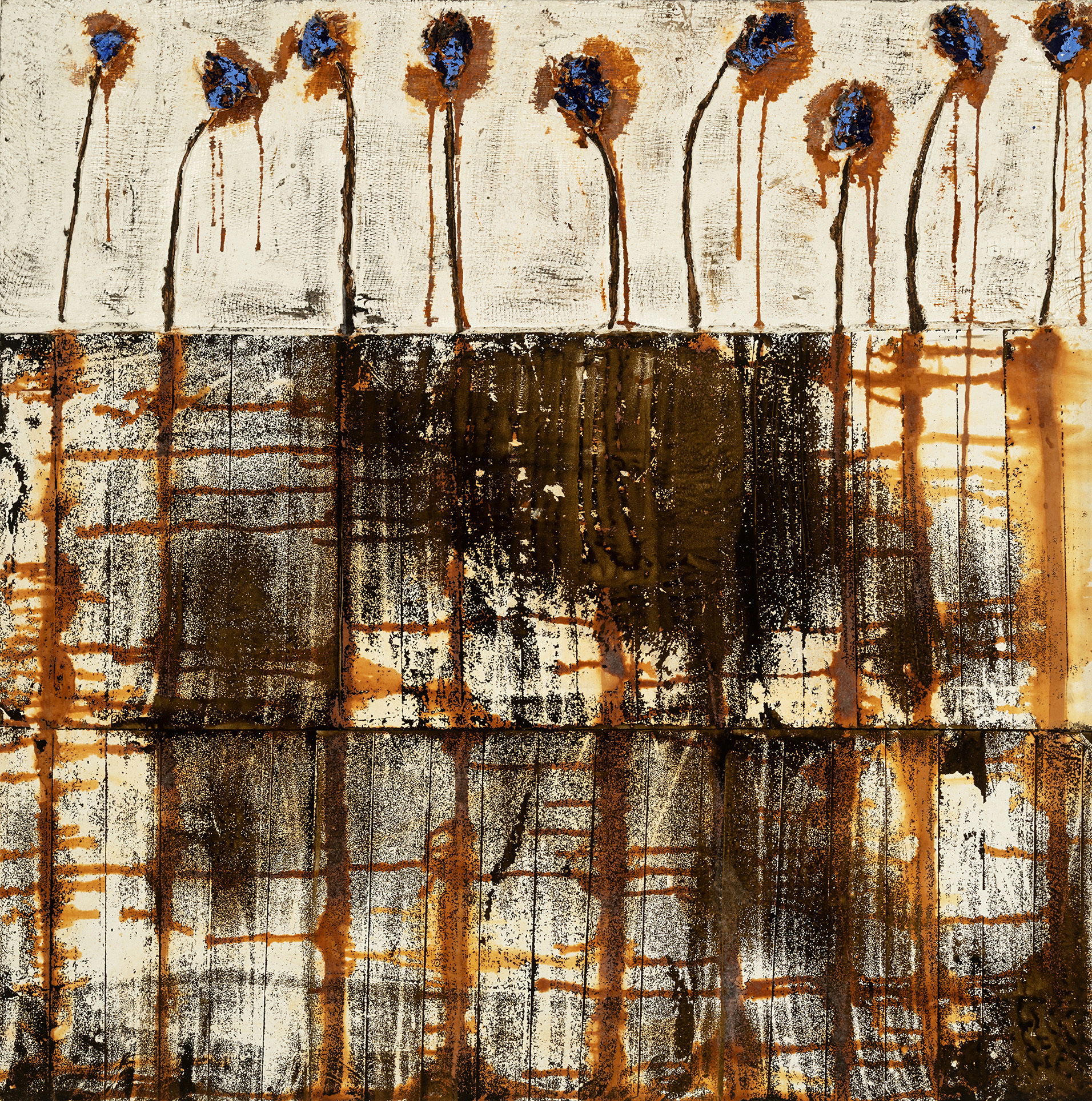 Wild Flowers