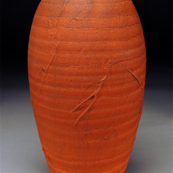 Closeup photo of Earthenware red shell 20x9