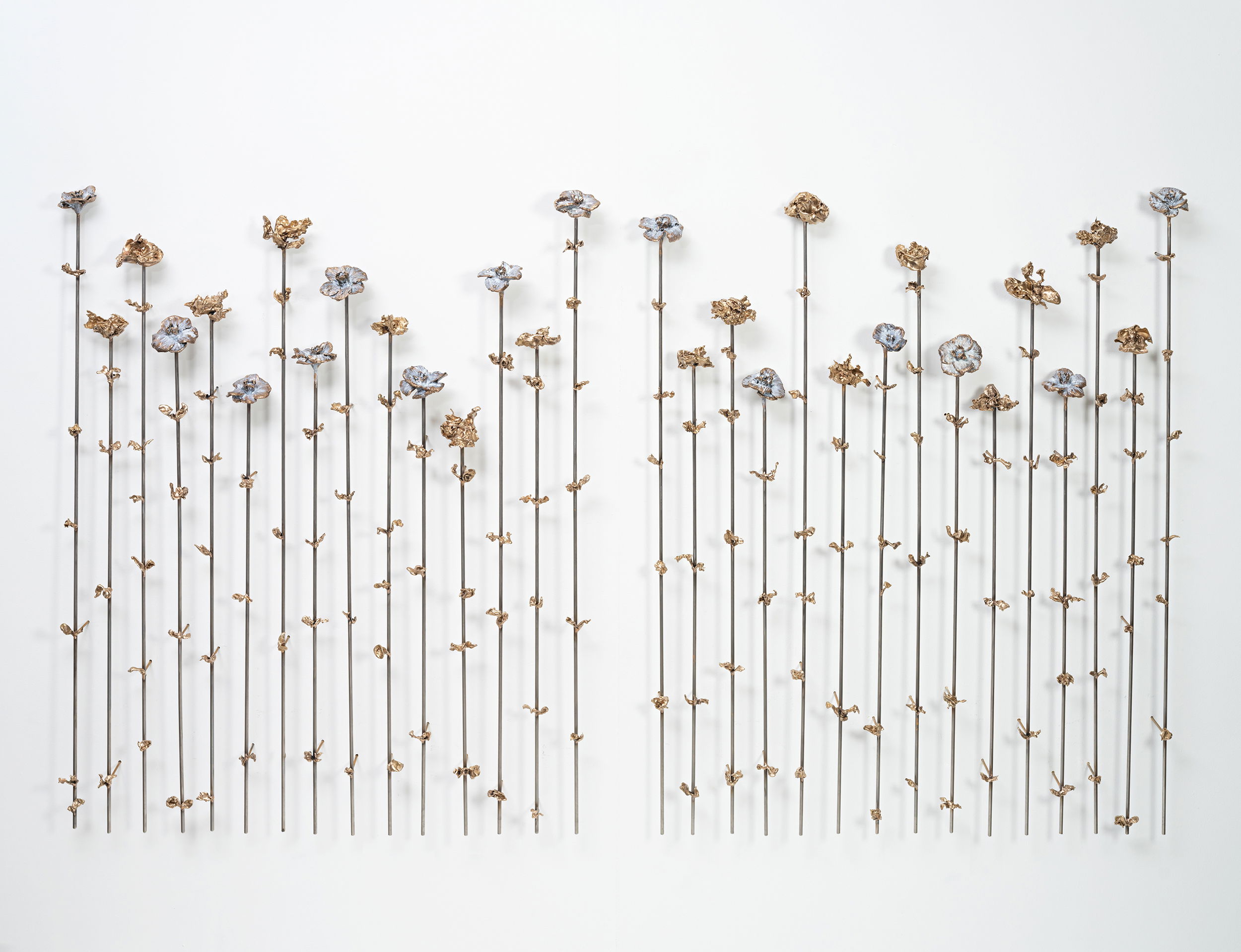 Jardin de Fleurs Bronze Wall Sculpture - Camellias - Stainless steel stems with bronze camellias and pigment - varying heights Jardin de Fleurs Bronze Wall Sculpture - Camellias