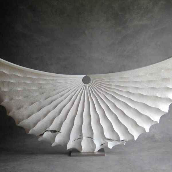 Closeup photo of Shell Form Ash-White Wood Sculpture
