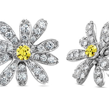 Closeup photo of Diamond Pave Small Daisy Earrings with Yellow Sapphire Centers in 18kt White Gold