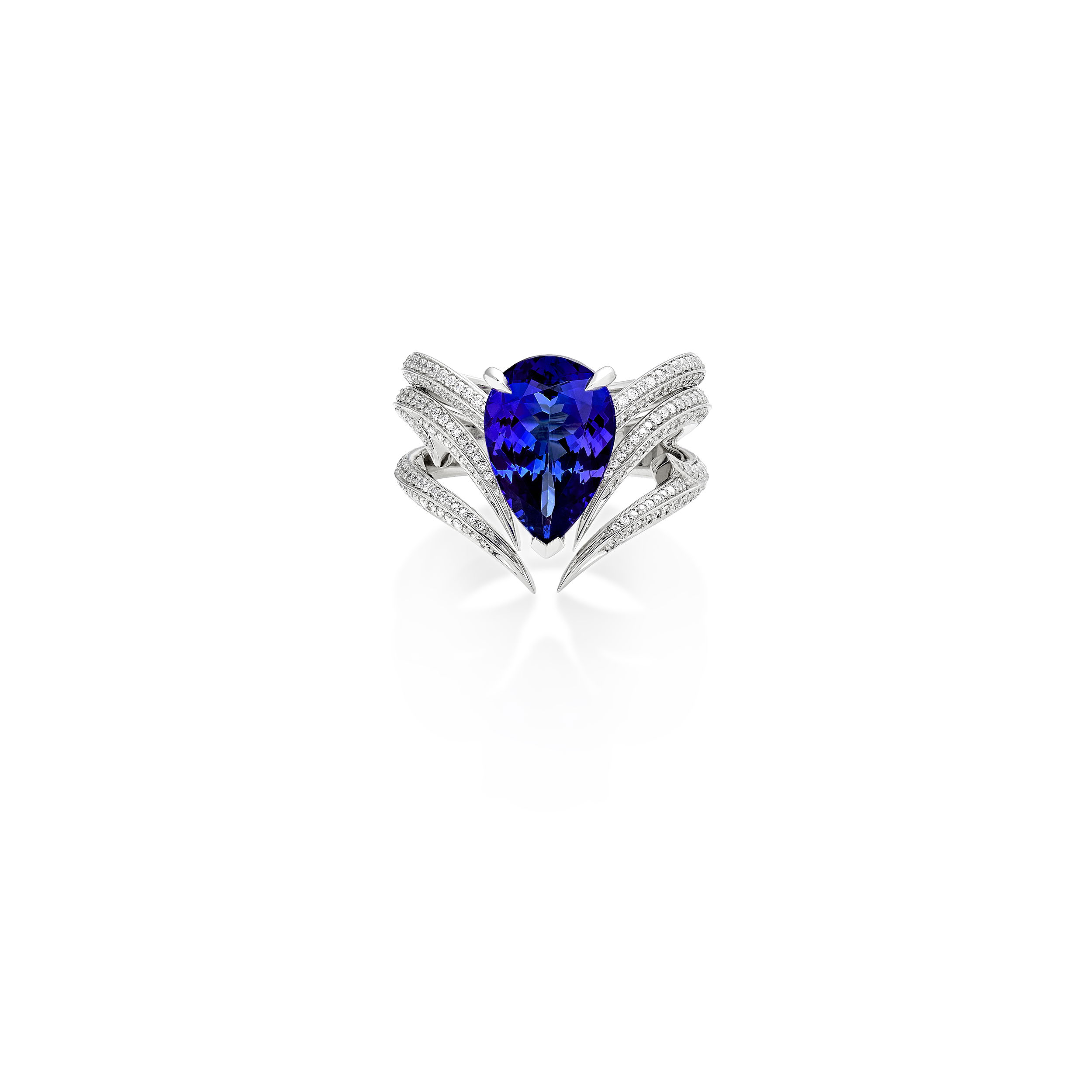 Thorn Embrace Attraction Inner Band Ring with Tanzanite and White Diamonds in 18kt White Gold - Size 7