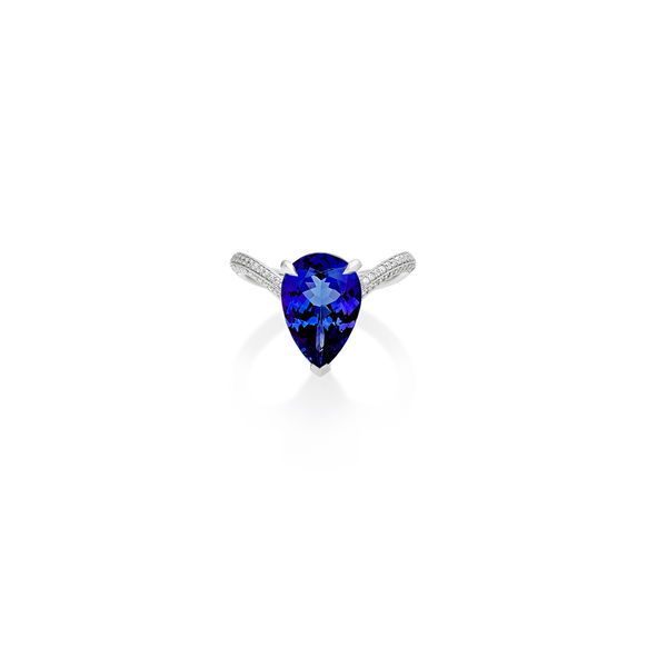 Closeup photo of Thorn Embrace Attraction Inner Band Ring with Tanzanite and White Diamonds in 18kt White Gold - Size 7