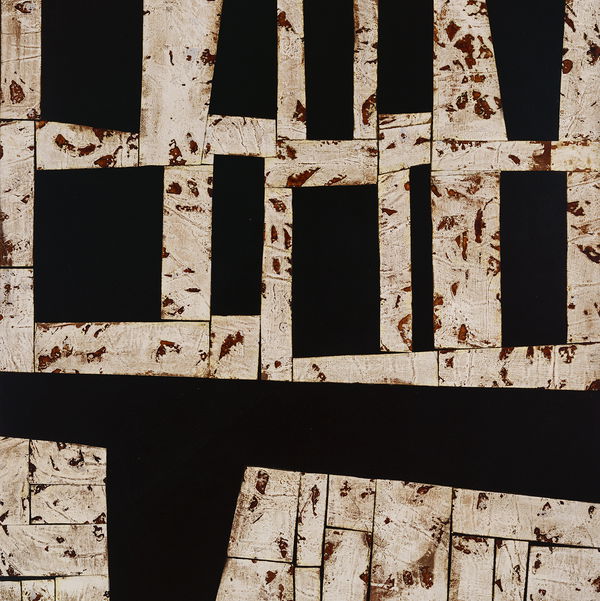 Closeup photo of Pathway