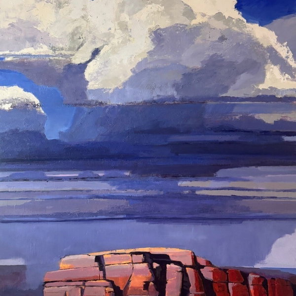 Closeup photo of Desert Thundercloud