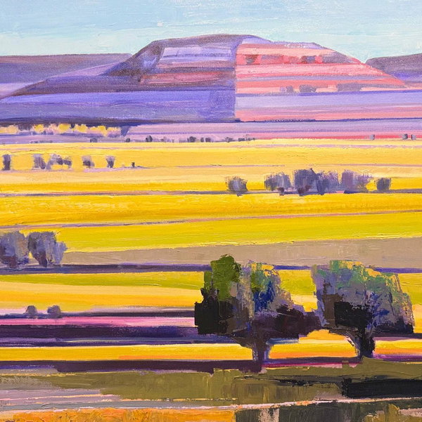 Closeup photo of Morning Light on Boulder Farm