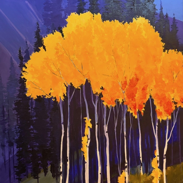 Closeup photo of Alpine Aspens