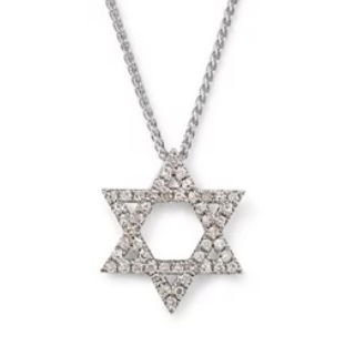 Closeup photo of 14K WHITE GOLD DIAMOND STAR OF DAVID PENDANT WITH CHAIN