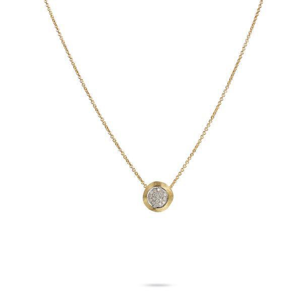 Closeup photo of Delicati Pendant