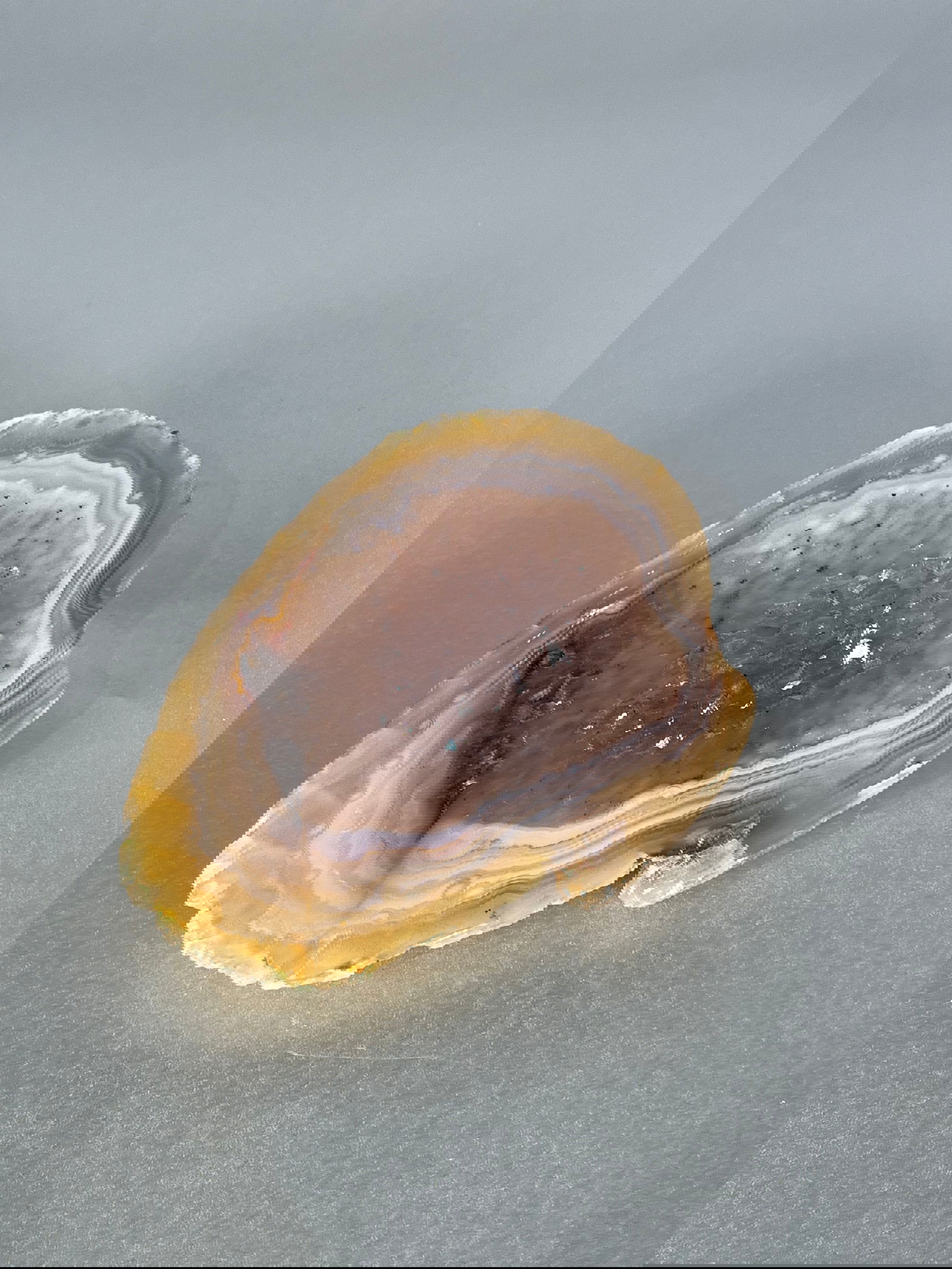 Experience the tranquility of nature with our unique Agate Geodes. These raw pieces are as one-of-a-kind as the natural world itself. Let the serene energy of these stunning agate geodes bring a touch of exclusivity to your decor.Approx. 4" Agate Geode