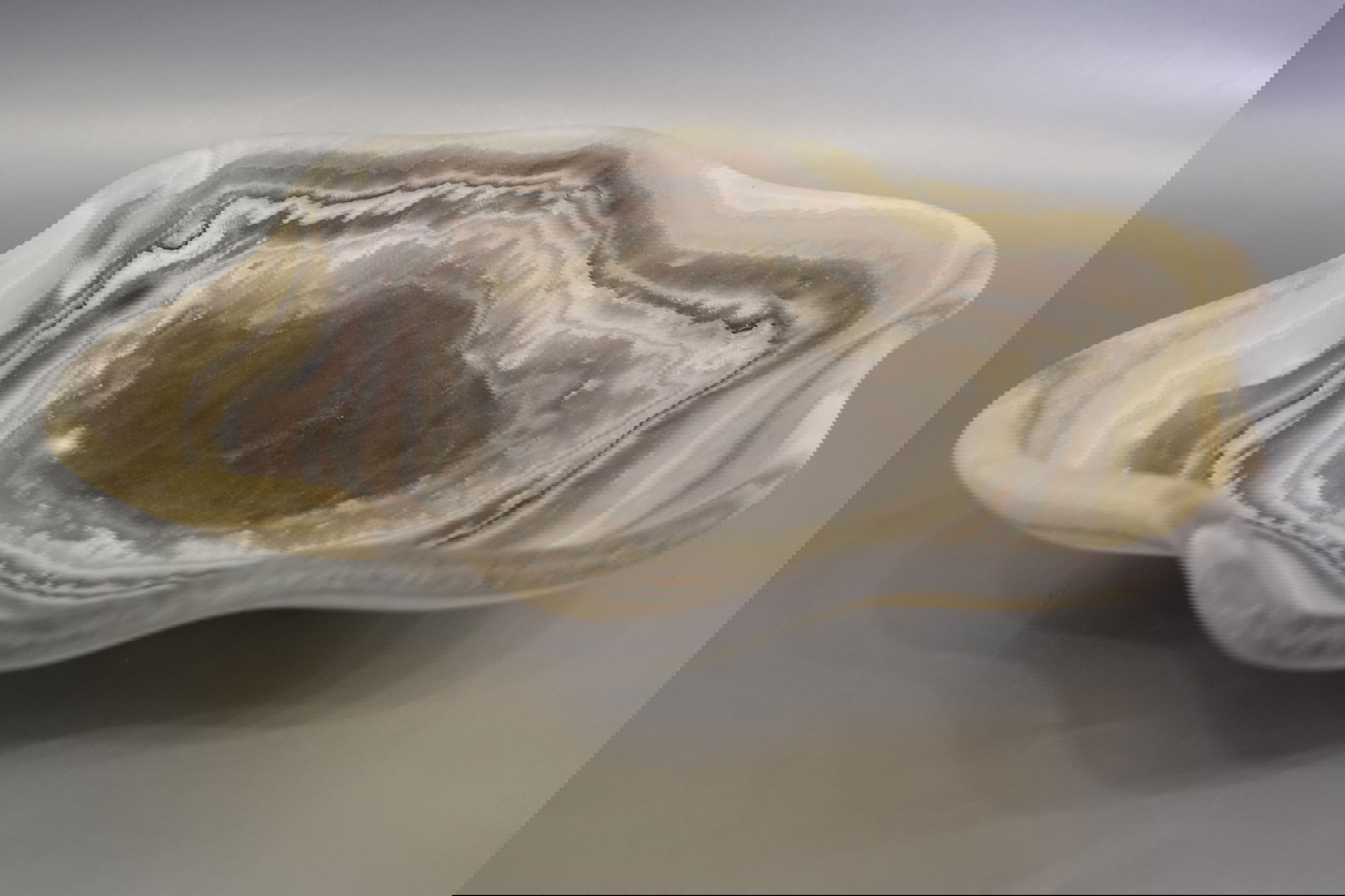 Indulge in the luxurious uniqueness of our Zebra Onyx Bowl. Its banded surface showcases the exquisite patterns of zebra onyx, while its distinct shape adds a touch of sophistication. Elevate your home decor with this exclusive piece that exudes elegance and refinement.Approx. 13" x 3" Zebra Onyx Bowl