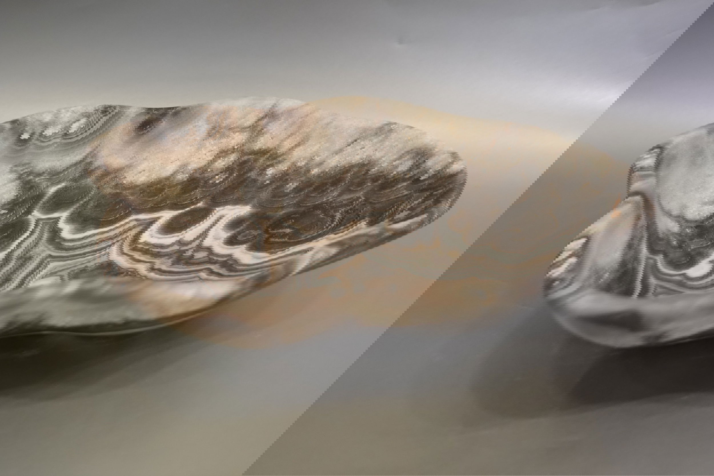 Indulge in the luxurious uniqueness of our Zebra Onyx Bowl. Its banded surface showcases the exquisite patterns of zebra onyx, while its distinct shape adds a touch of sophistication. Elevate your home decor with this exclusive piece that exudes elegance and refinement.Approx. 12" x 3" Zebra Onyx Bowl