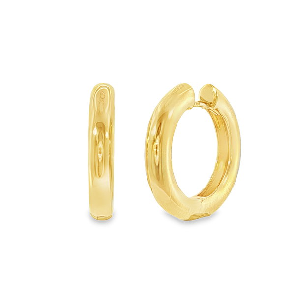 Closeup photo of Chunky Hoop Earrings