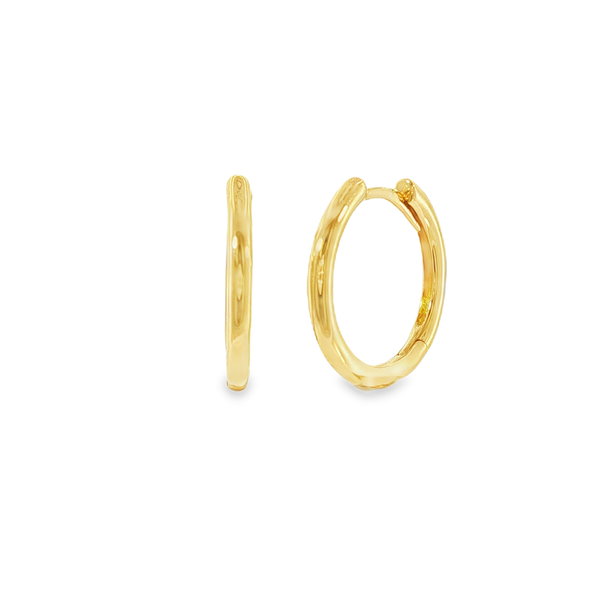 Closeup photo of Hinged Hoop Earrings