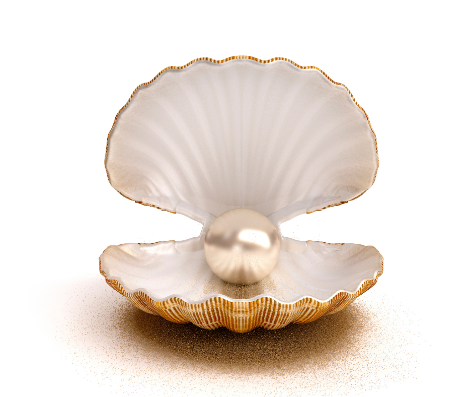 Image of Exploring the Different Types of Pearls: What You Need to Know