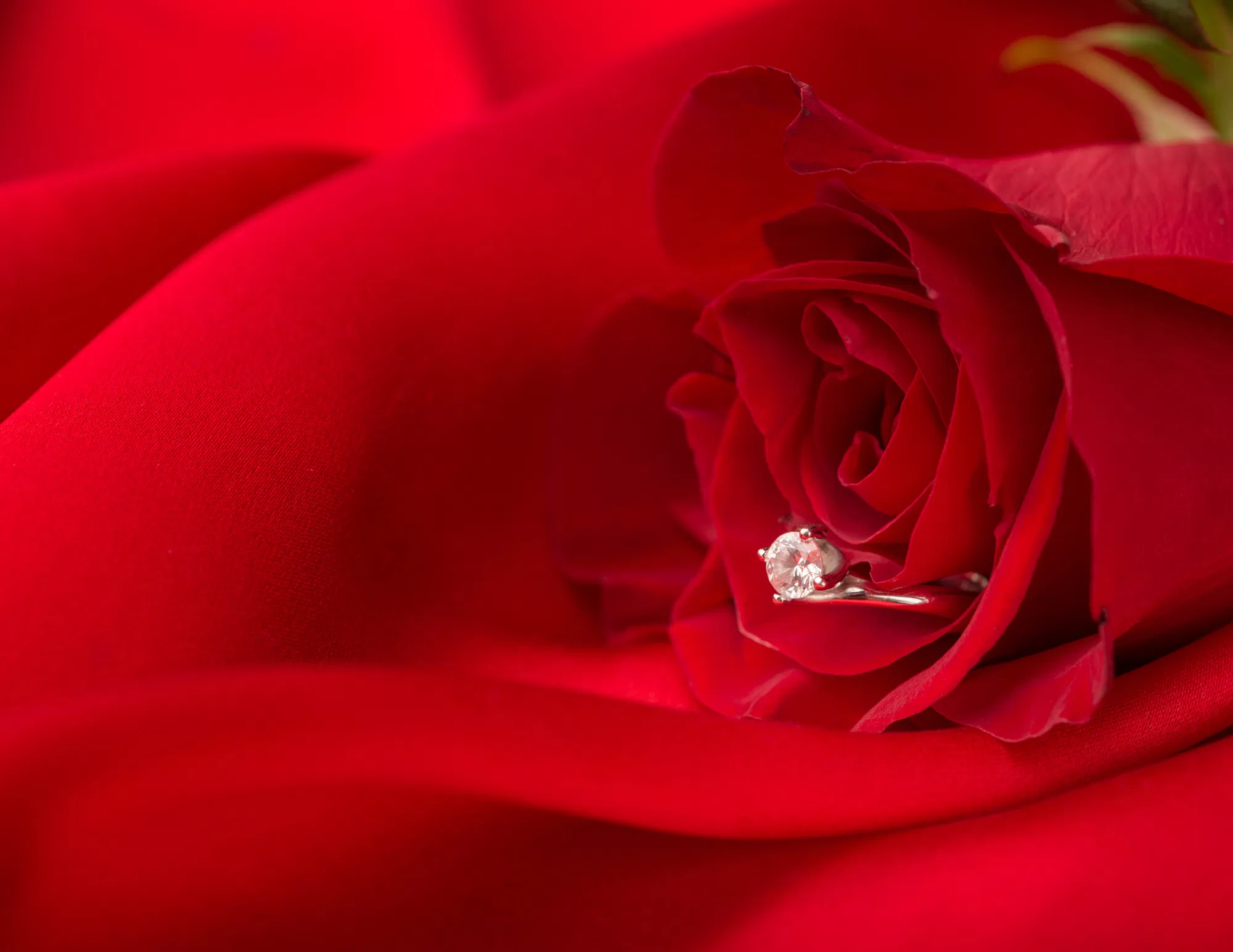 Image of Romance Your Sweetheart with the Gift of Diamonds this Valentine's Day