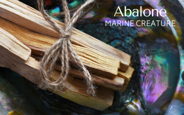 Abalone | Stone Information, Healing Properties, Uses