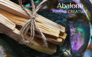 . Abalone | Stone Information, Healing Properties, Uses