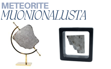 Muonionalusta Meteorite | Information, History, Properties