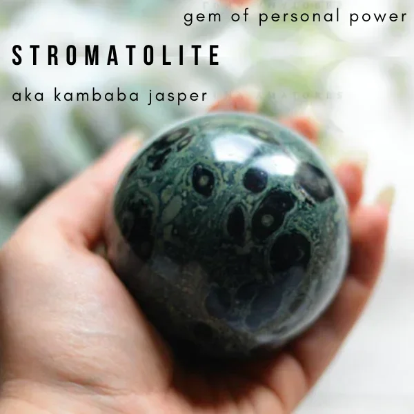 . Stromatolite | Stone Information, Healing Properties, Uses 