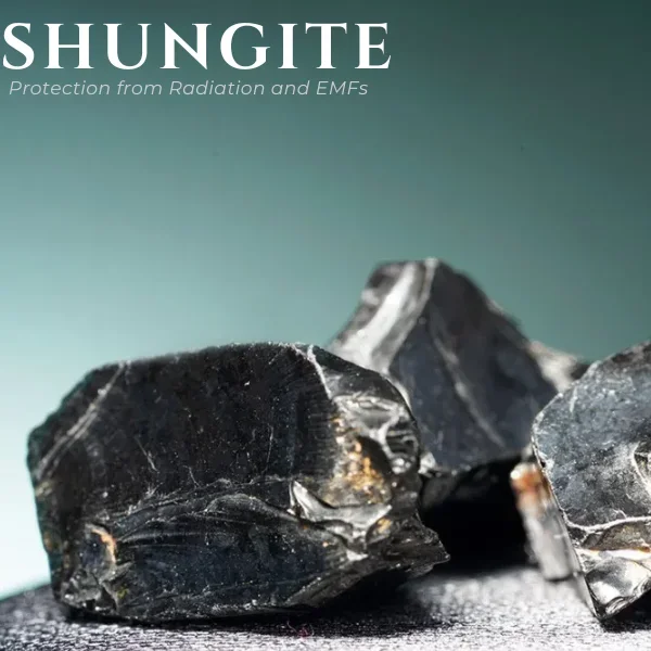 Shungite | Stone Information, Healing Properties, Uses
