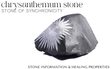 Chrysanthemum Stone | Stone Information, Healing Properties, Uses 