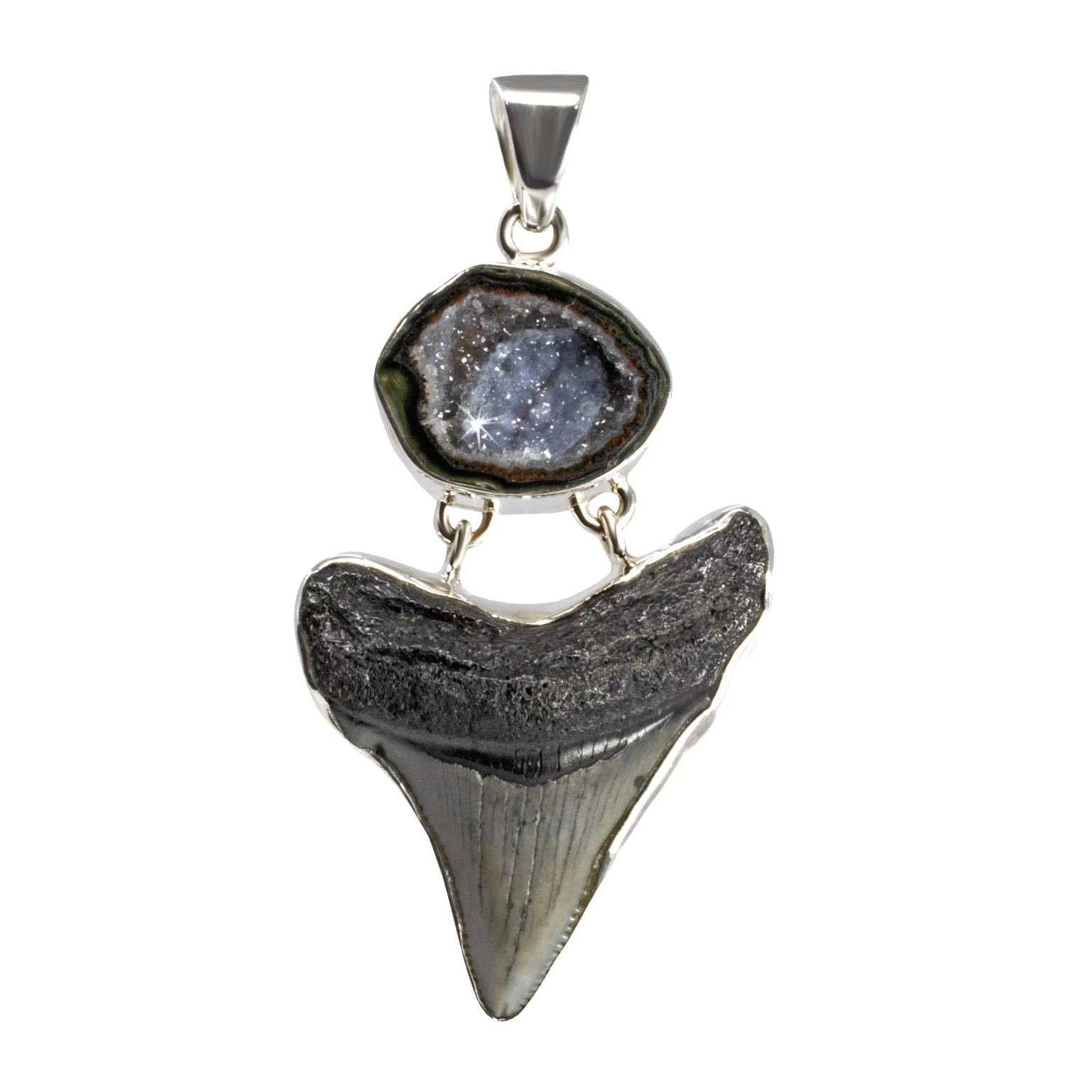 Megalodon Shark Tooth Pendant