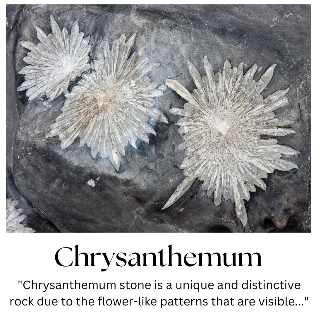 Chrysanthemum Stone %7C Stone Information Healing Properties Uses