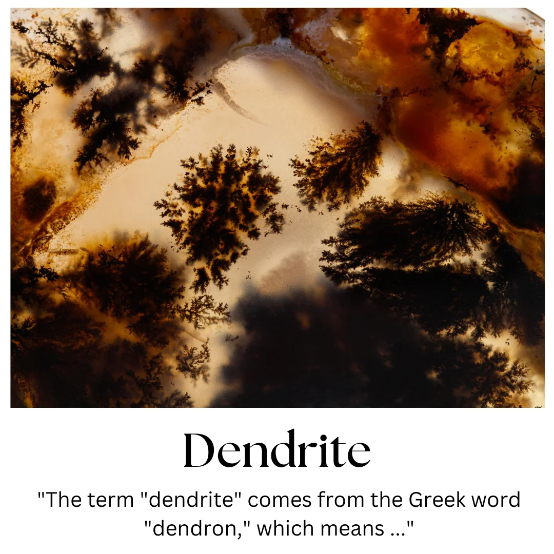 Dendrite %7C Stone Information Healing Properties Uses