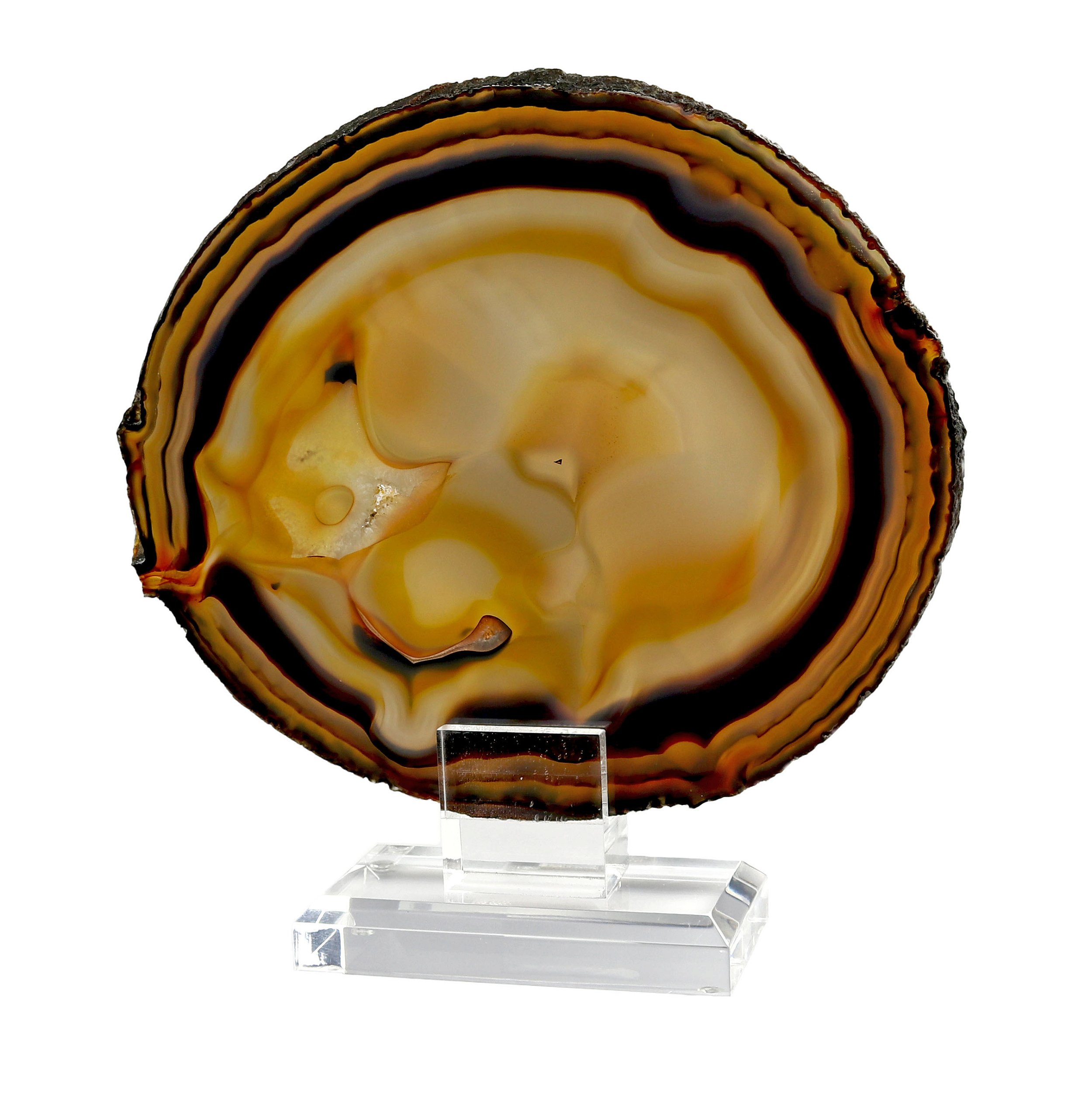 Agate Slice On Acrylic Screw-in Stand With Dendrite -Like Pattern & Orange Hues