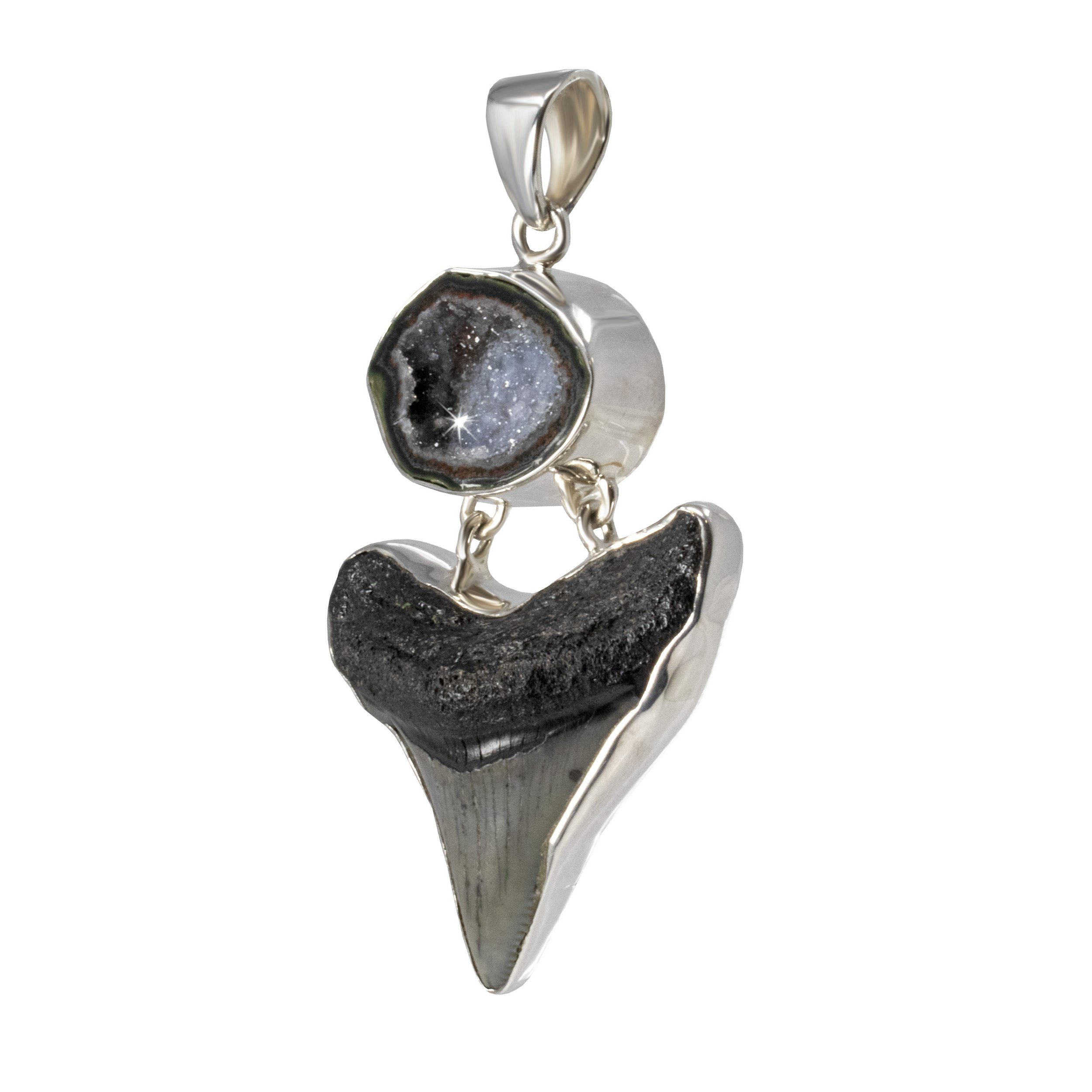 Megalodon Shark Tooth Necklace – Foxy Fossils