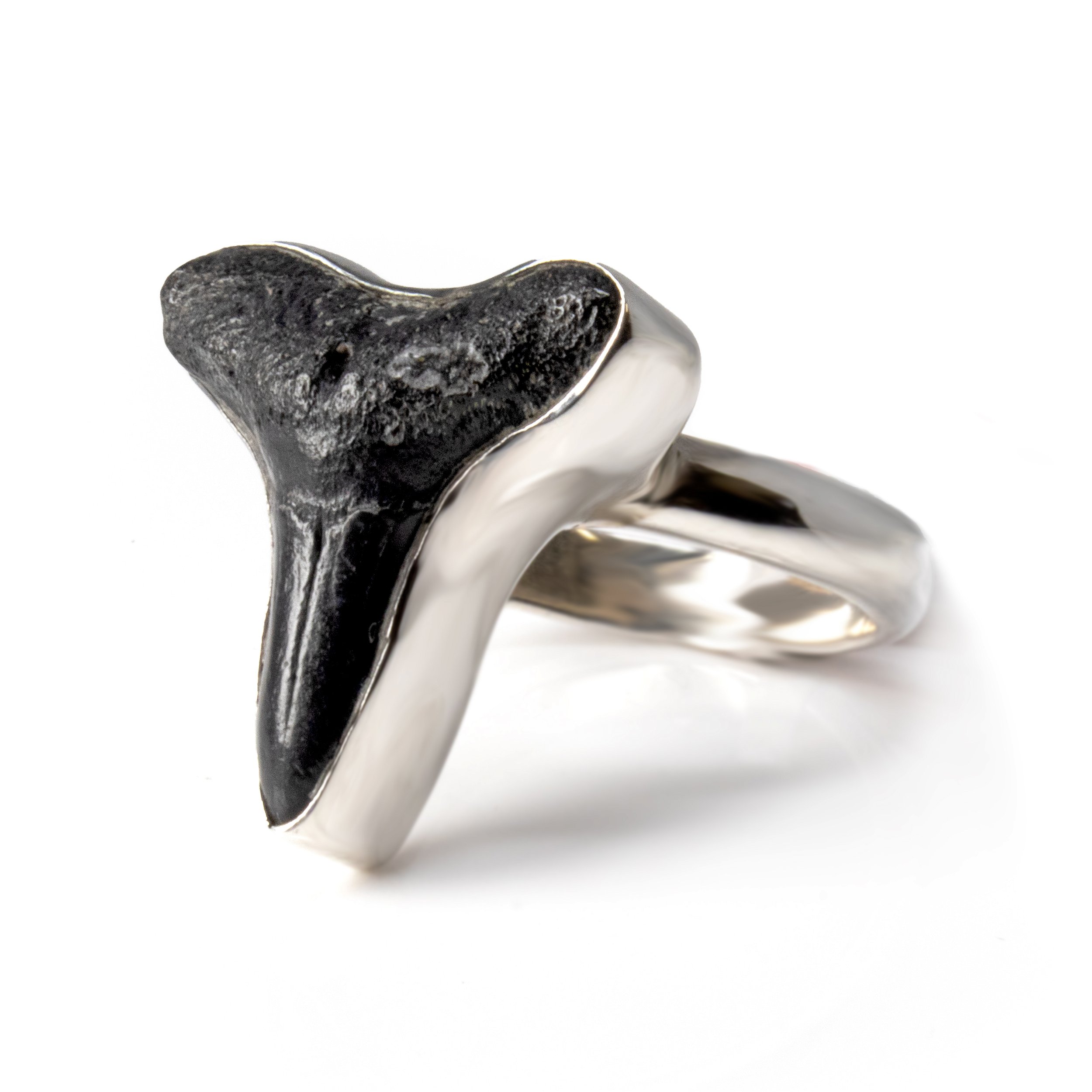 Megalodon Shark Tooth Ring -Extra Small